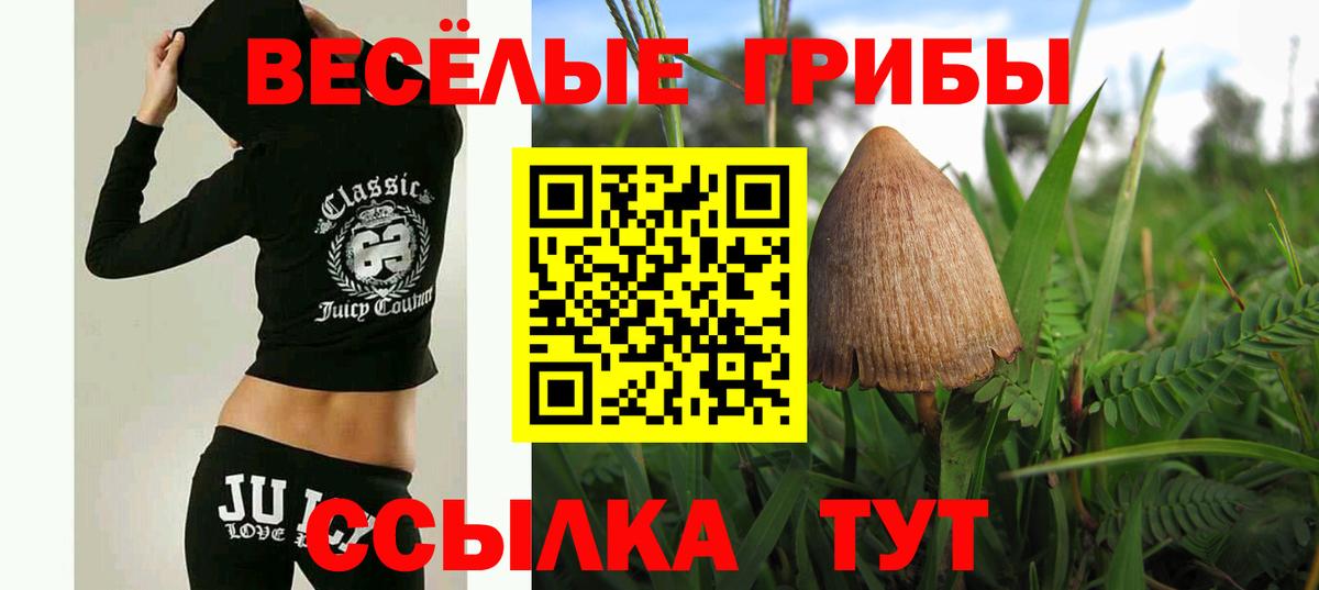Псилоцибиновые грибы MAGIC MUSHROOMS  Галлюциногенные грибы Psilocybe  хочу наркоту  Вход с VPN  Богородск 